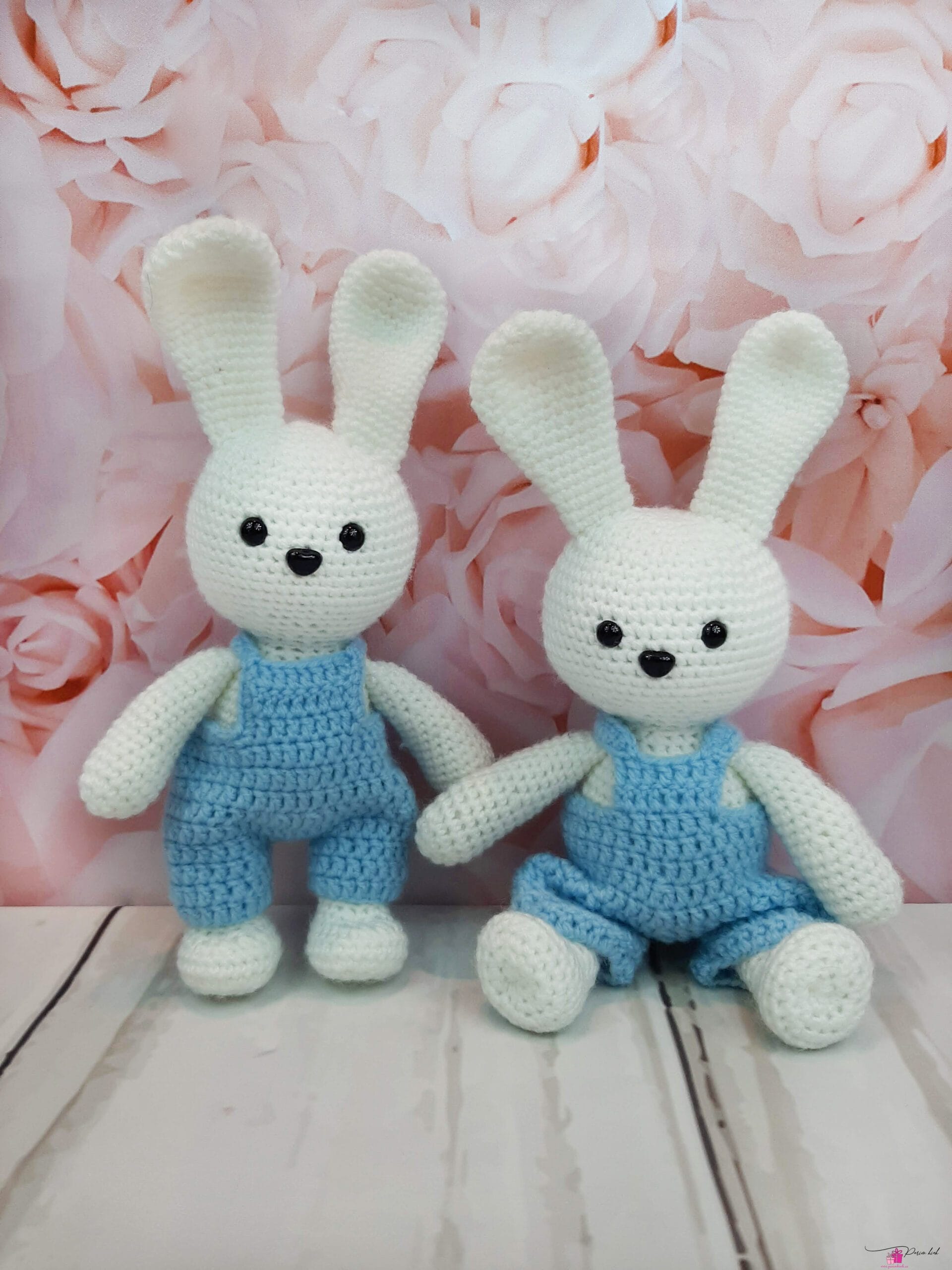 Kaisujänesed kaksikutele