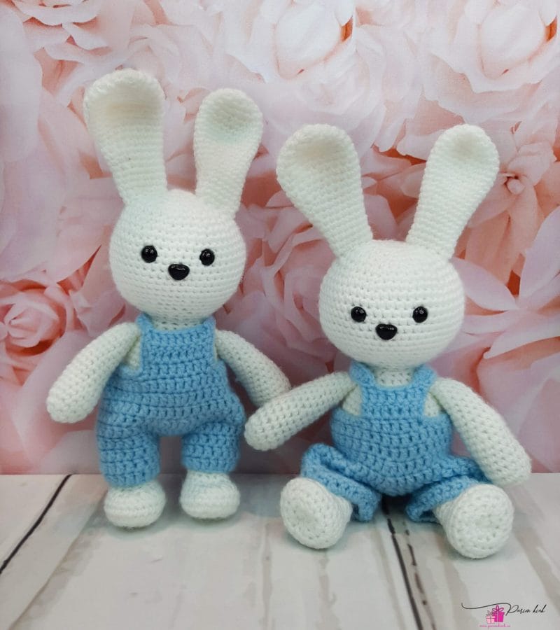 Kaisujänesed kaksikutele