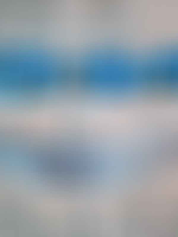 Sinine mähkmetort prints lutiketiga 6