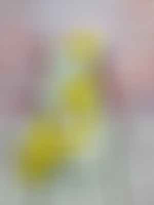 kollane mähkmetort lilledega 11