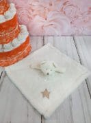 oranz mähkmetort kaisutekiga 2jpg