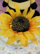 kollane mähkmetort mesimummiga 2