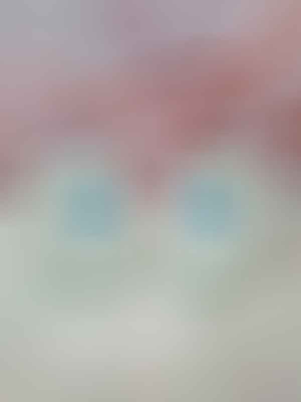 Sinised kootud papud 1