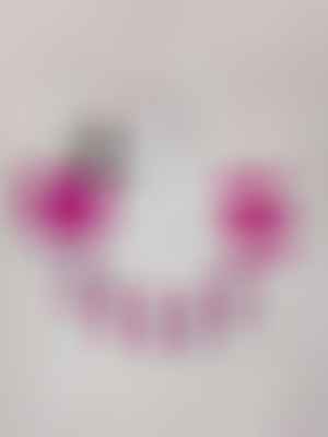 lutikett fuksia