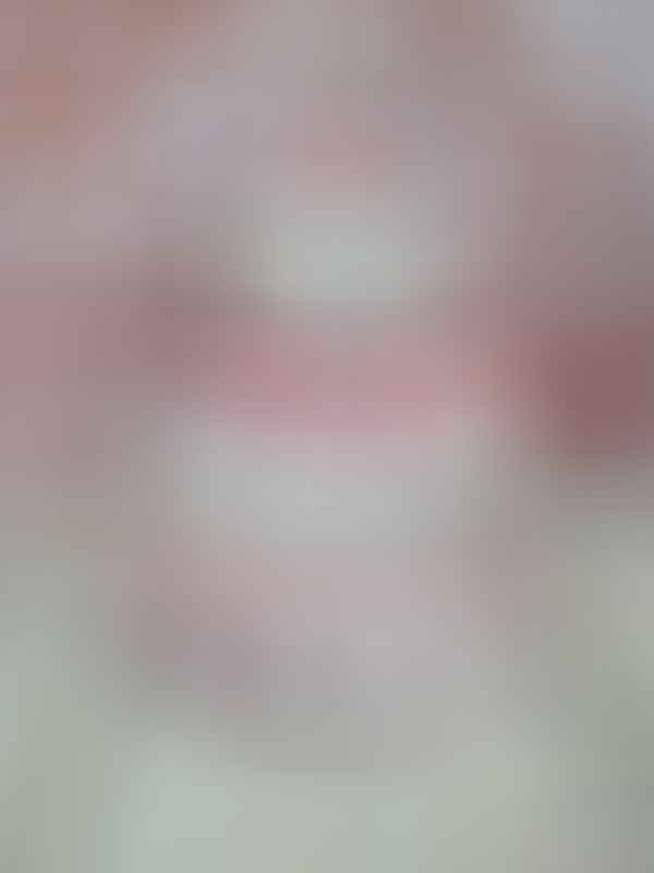 heleroosa väike mähkmetort lutiketiga 2