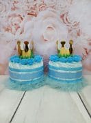 kaksikute mähkmetordid kroonidega