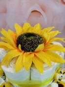 kollane väike mähkmetort lutiketiga 2