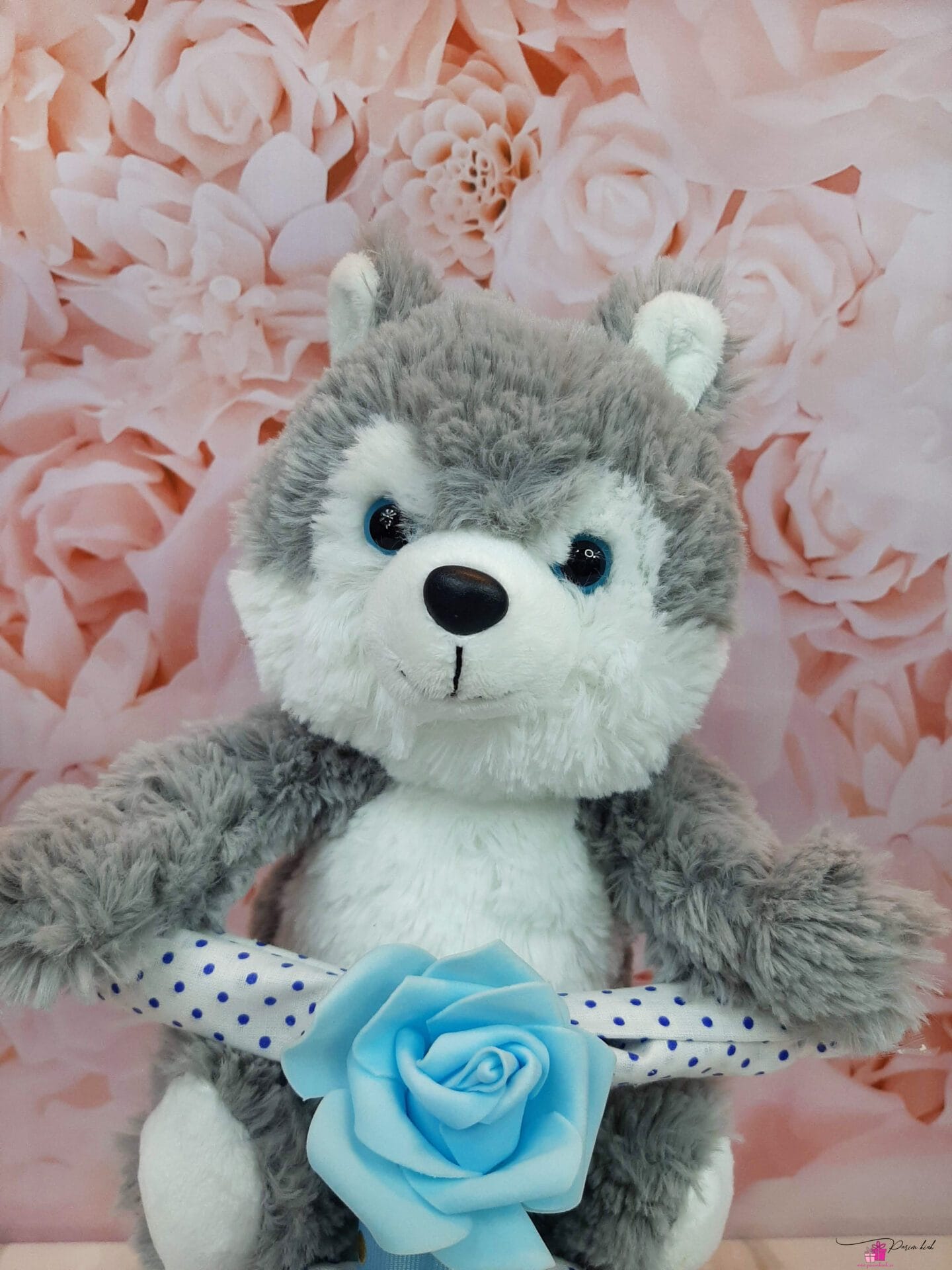 Sinine Motika Mähkmetort 1