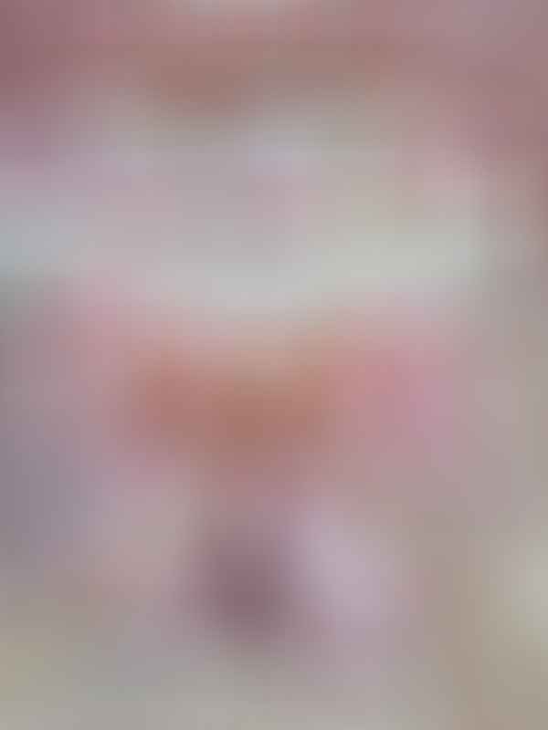 roosa mähkmetort lutiketiga 1