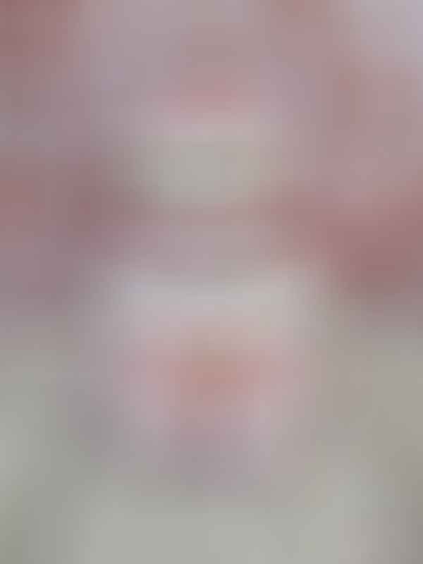 roosa mähkmetort lutiketiga 3