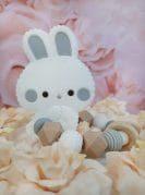 Beež mähkmetort lutiketi ja närimisrõngaga 4