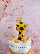 Oranz mähkmetort kõristiga 5