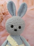 Helesinine mähkmetort amigurumiga 1