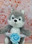 Sinine Motika Mähkmetort 1