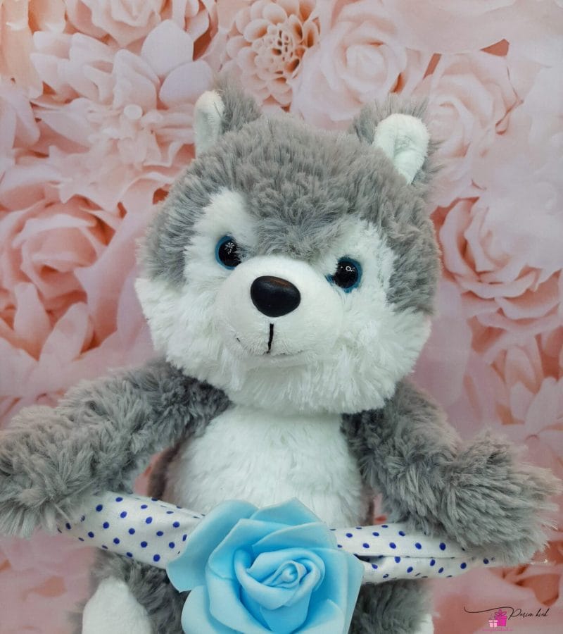 Sinine Motika Mähkmetort 1 Sinine Motika Mähkmetort 1