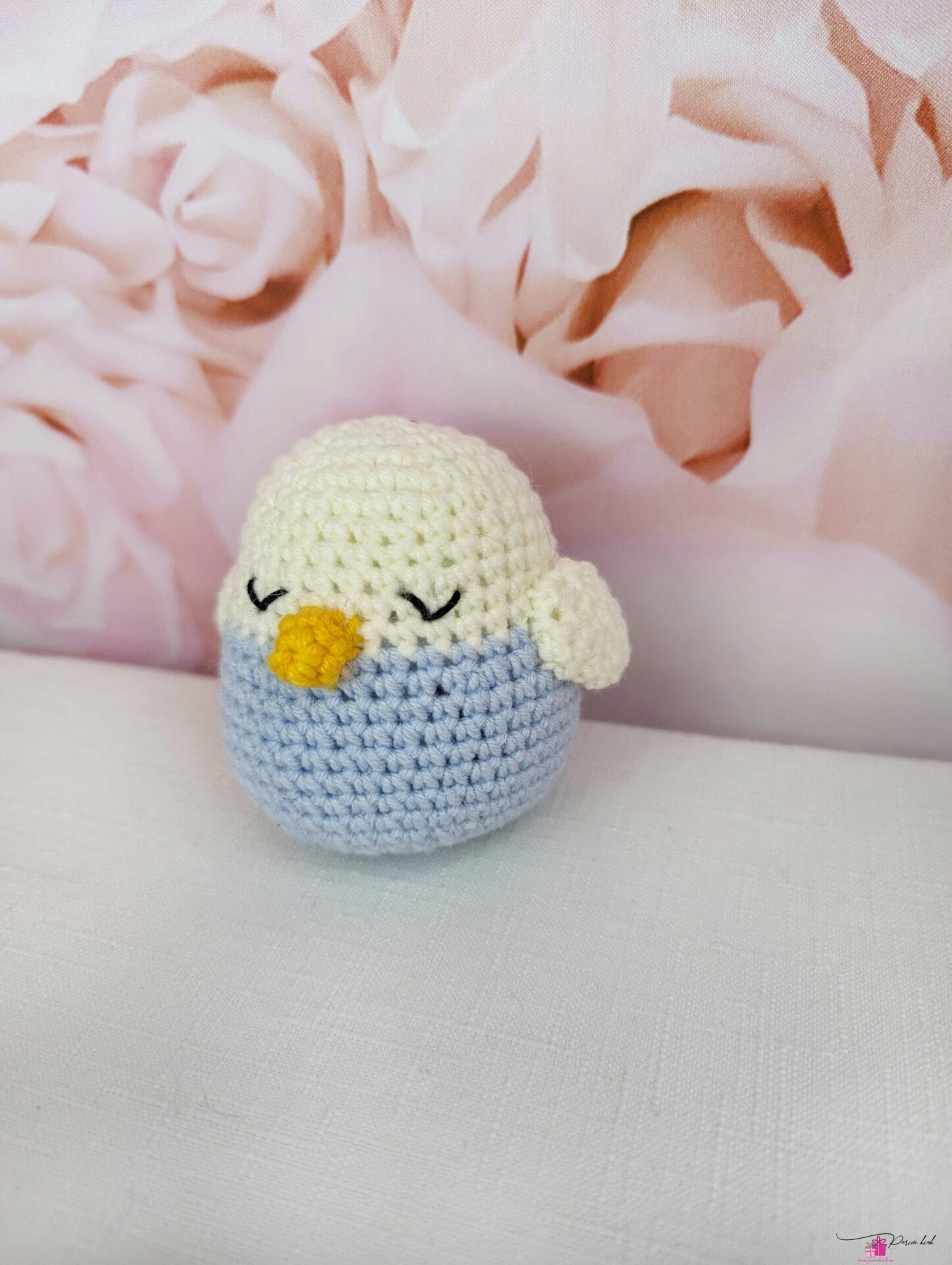 Kõristi linnupoja 1