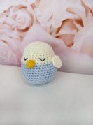 Kõristi linnupoja 1