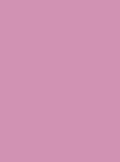 roosa mähkmetort elevandiga 1