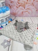 sinine mähkmetort vandu kaisutekiga