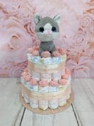 Kuldne-Roosa mähkmetort kiisuga4