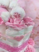 heleroosa mähkmetort kassiga 1