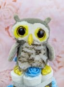 sinine mähkmetort öökulliga 2