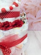 punane mähkmetort lutiketiga 1