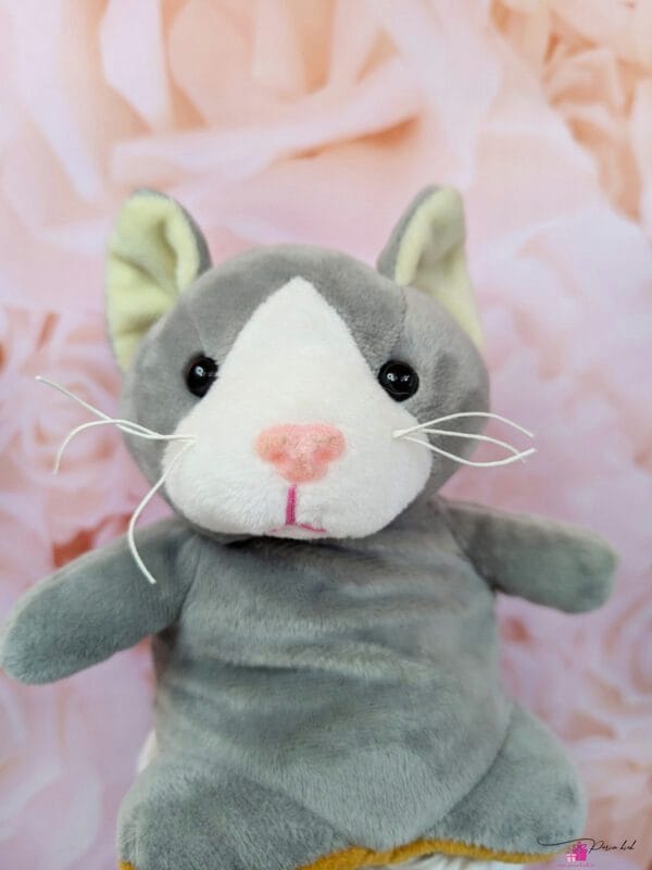 sinine mähkmetort kass-koeraga 3