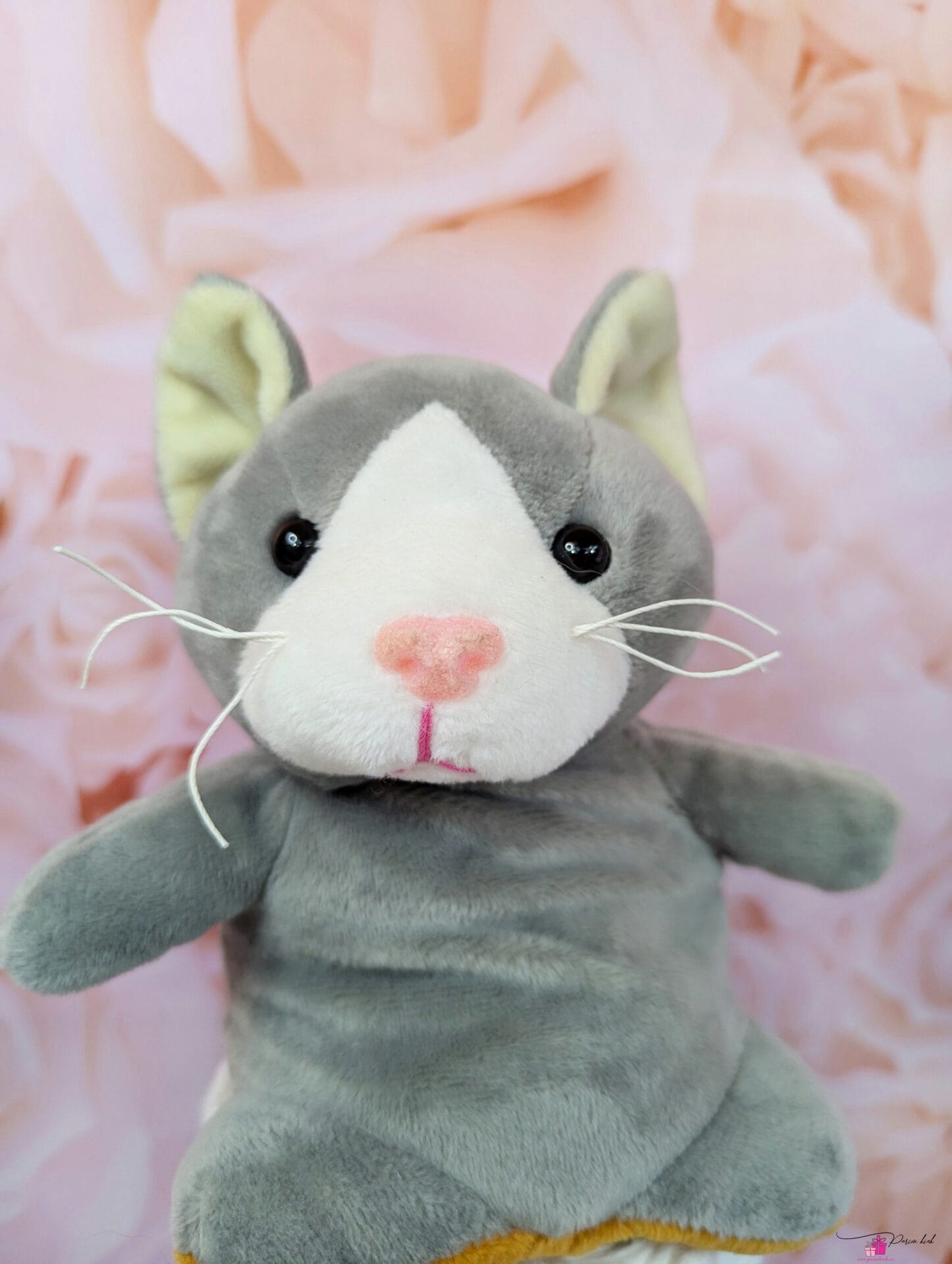 sinine mähkmetort kass-koeraga 3