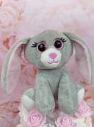 roosa mähkmetort pikk-kõrvaga 1