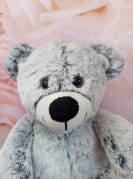 helesinine mähkmetort karumõmmiga 2